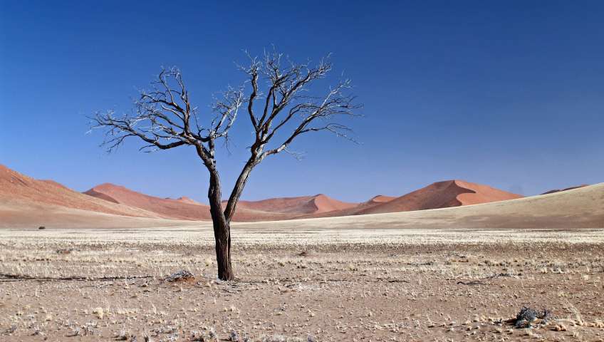 Bild in 3D ansehen Foto Sossusvlei