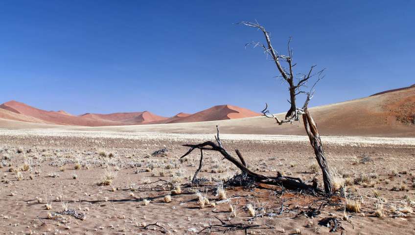 Bild in 3D ansehen Foto Sossusvlei