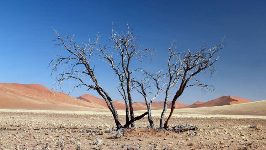 Bild in 3D ansehen Foto Sossusvlei