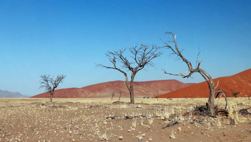 Bild in 3D ansehen Foto Sossusvlei