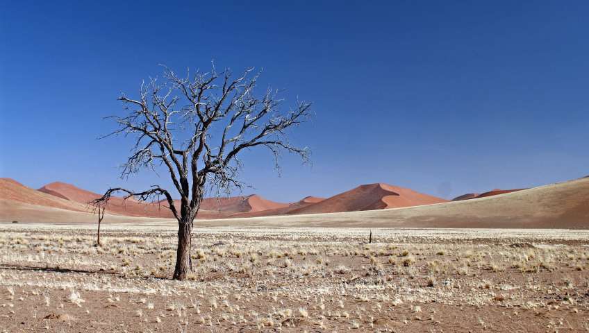 Bild in 3D ansehen Foto Sossusvlei