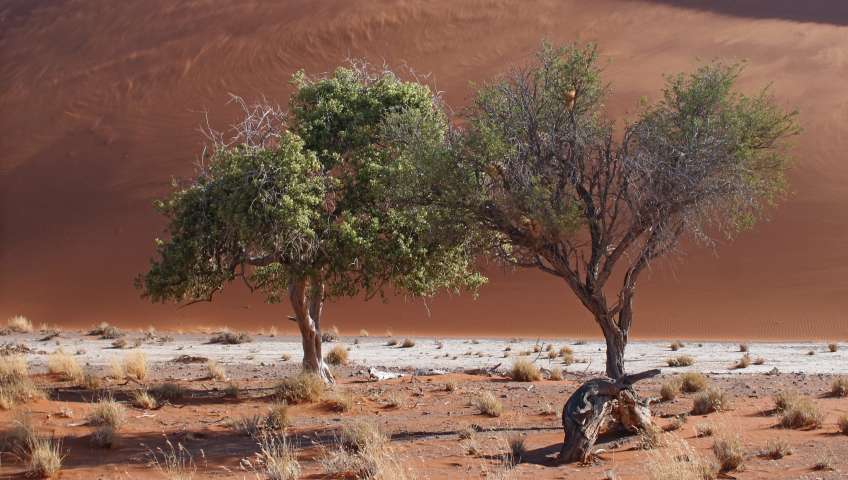Bild in 3D ansehen Foto Sossusvlei