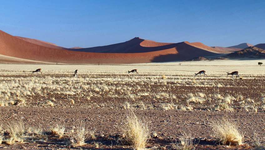 Bild in 3D ansehen Foto Sossusvlei