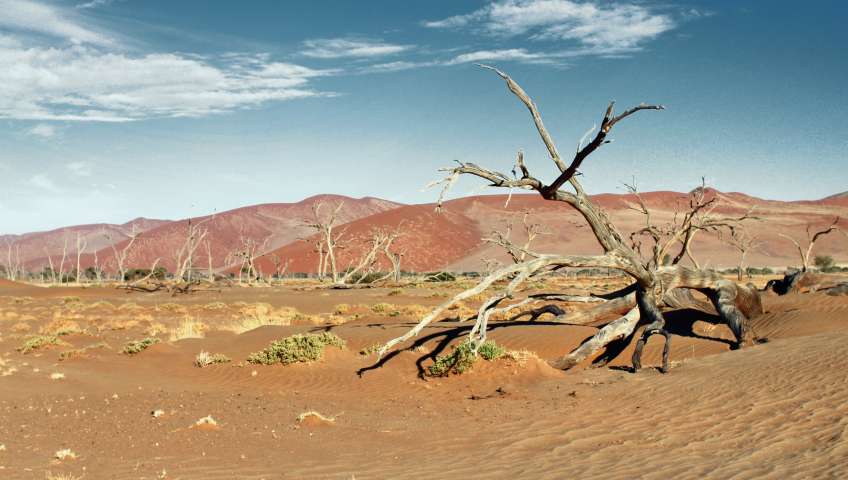 Bild in 3D ansehen Foto Sossusvlei