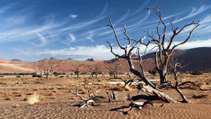 Bild in 3D ansehen Foto Sossusvlei