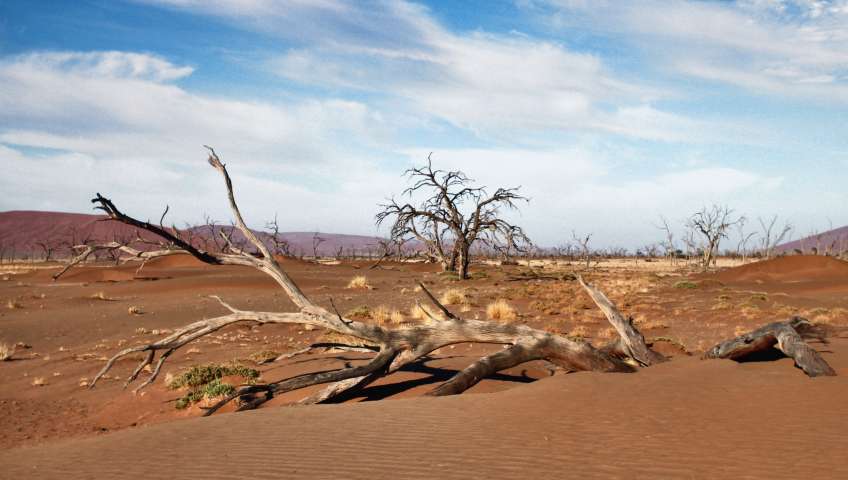 Bild in 3D ansehen Foto Sossusvlei