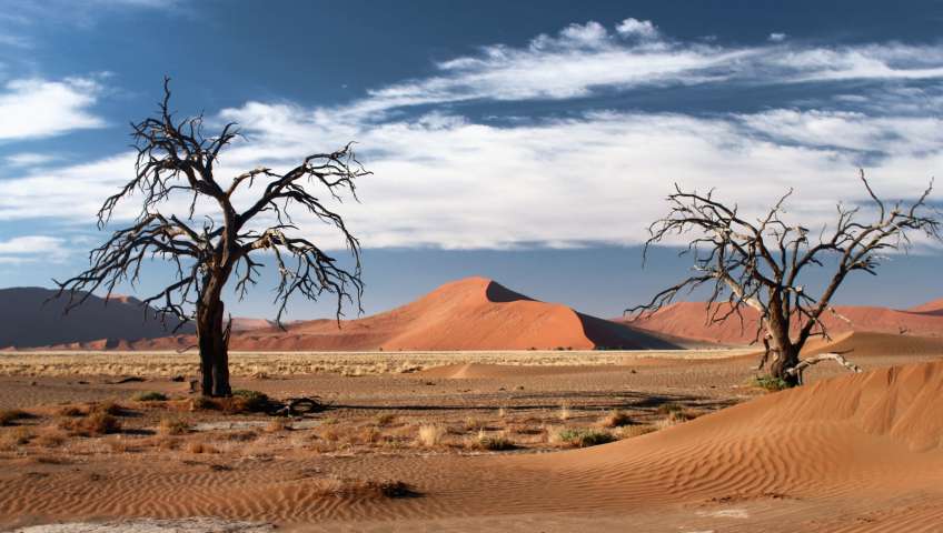 Bild in 3D ansehen Foto Sossusvlei