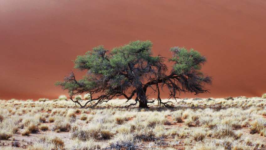 Bild in 3D ansehen Foto Sossusvlei
