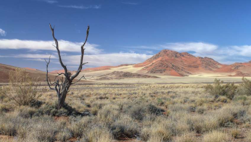 Bild in 3D ansehen Foto Sossusvlei
