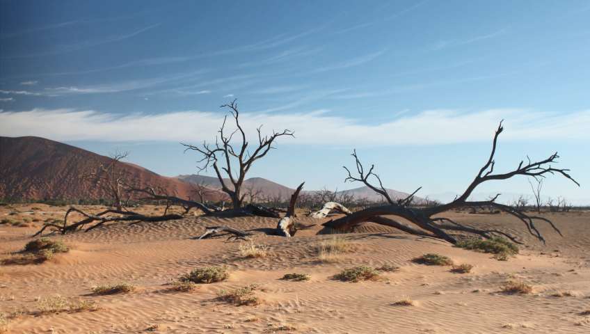 Bild in 3D ansehen Foto Sossusvlei