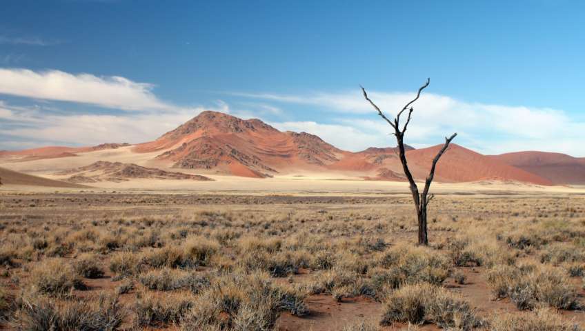 Bild in 3D ansehen Foto Sossusvlei