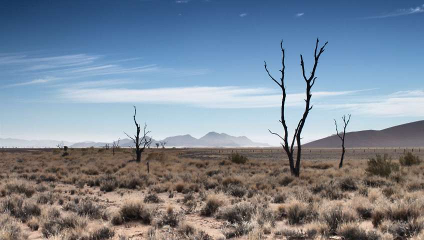 Bild in 3D ansehen Foto Sossusvlei