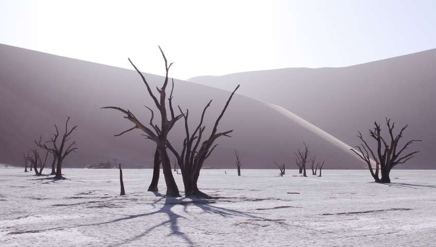 Sossusvlei