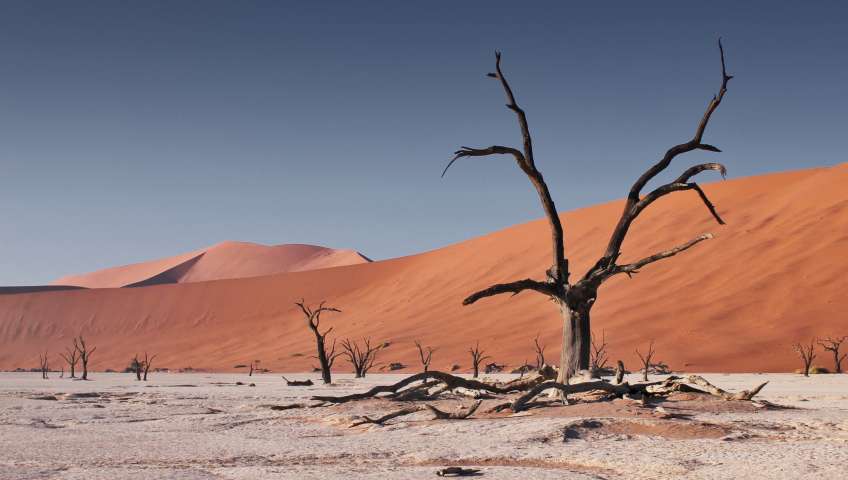Bild in 3D ansehen Foto Sossusvlei