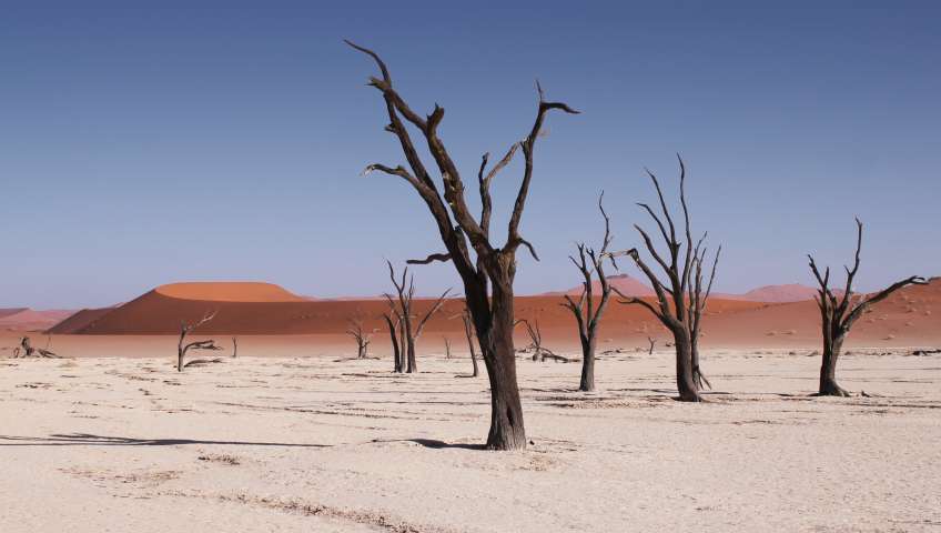 Bild in 3D ansehen Foto Sossusvlei