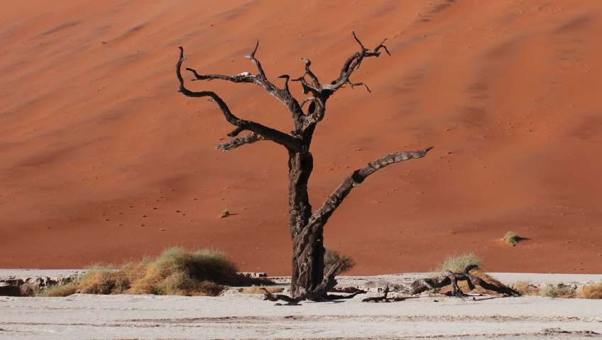 Bild in 3D ansehen Foto Sossusvlei