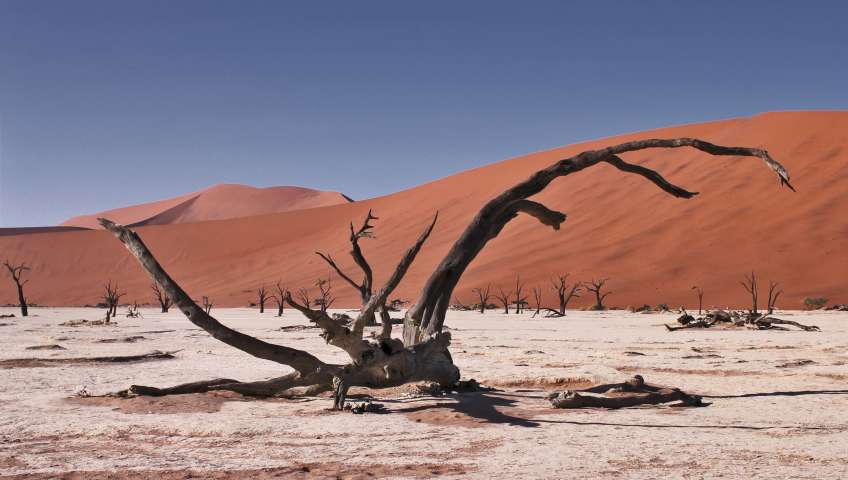 Bild in 3D ansehen Foto Sossusvlei