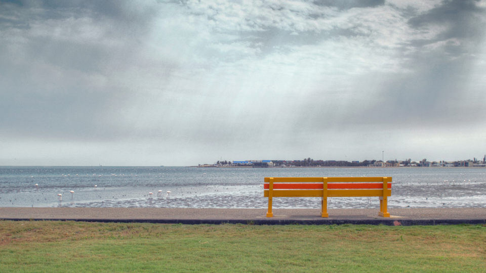 Wasvisbay Lagune