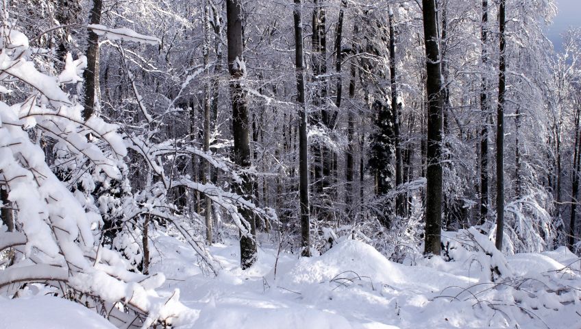 Foto Kapstadt