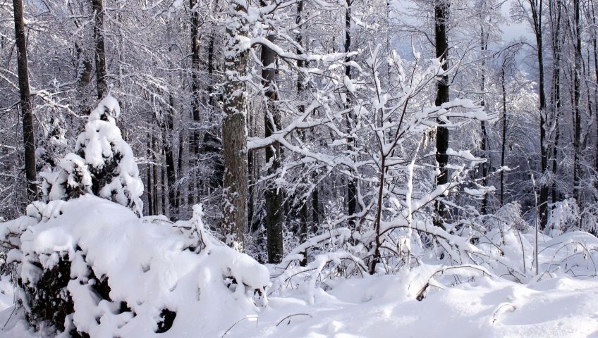 Foto Kapstadt