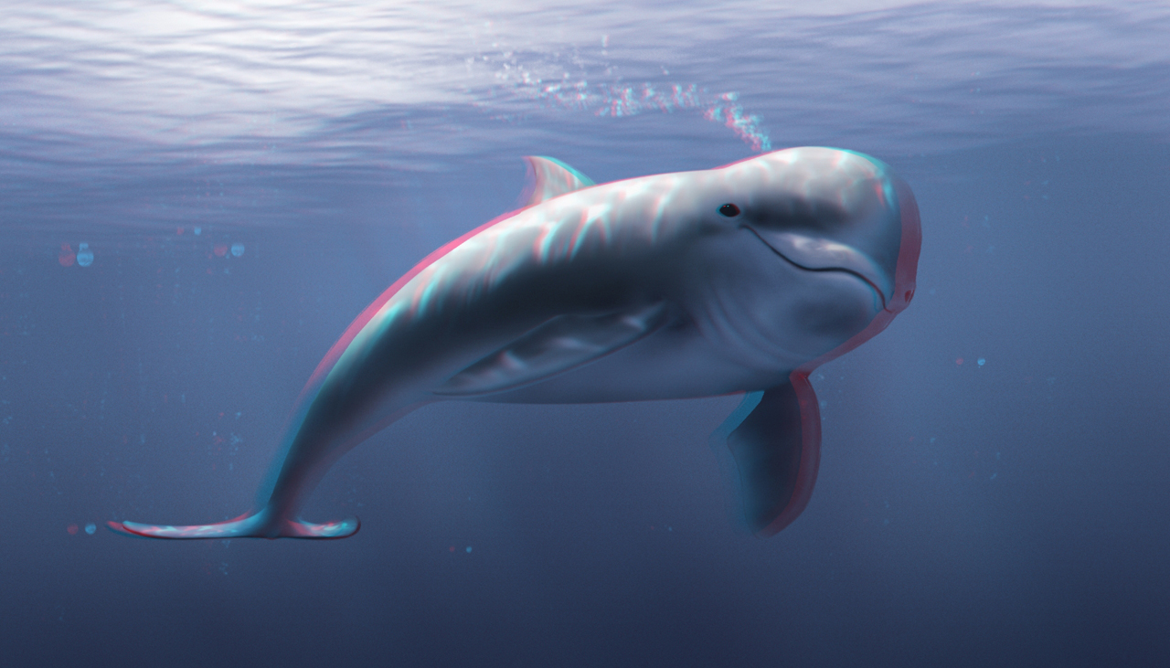 Anaglyph